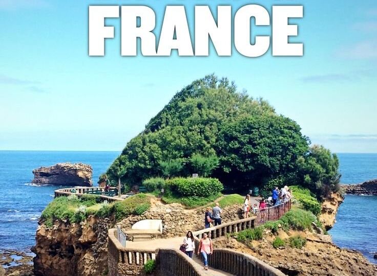 expert-westace-france.jpg
